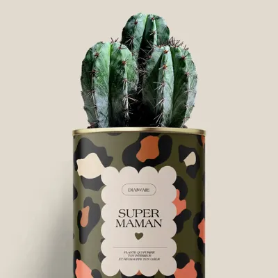 Cadeaux - Super maman - Mini Cactus - DIAIWAIE