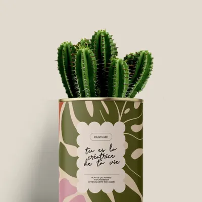 Gifts - Tu es la créatrice de ta vie - Mini Cactus - DIAIWAIE