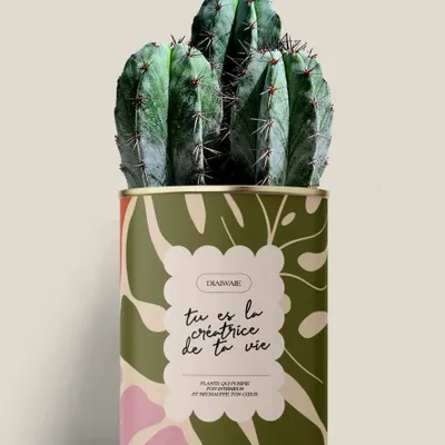Cadeaux - Tu es la créatrice de ta vie - Maxi Cactus - DIAIWAIE