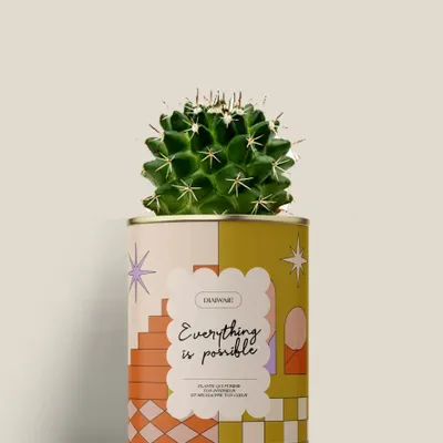 Cadeaux - Everything is possible - Mini Cactus - DIAIWAIE