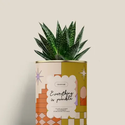 Cadeaux - Everything is possible - Mini Aloé - DIAIWAIE