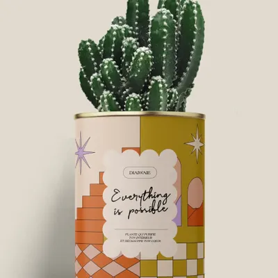 Gifts - Everything is possible - Maxi Cactus - DIAIWAIE