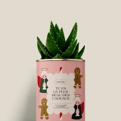 Cadeaux - TU ES LE PLUS BEAU DES CADEAUXX - Mini Aloé - DIAIWAIE