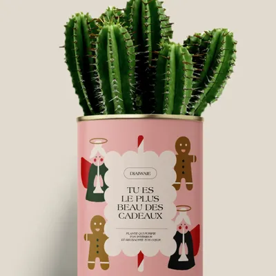 Cadeaux - TU ES LE PLUS BEAU DES CADEAUXX - Maxi Cactus - DIAIWAIE
