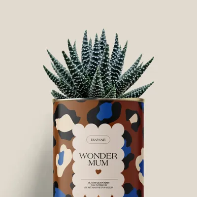 Cadeaux - Wonder mum - Mini Aloé - DIAIWAIE