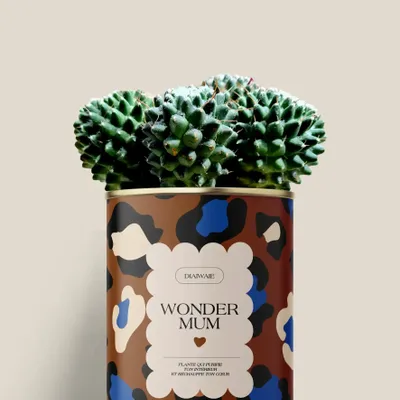 Gifts - Wonder mum - Mini Cactus - DIAIWAIE