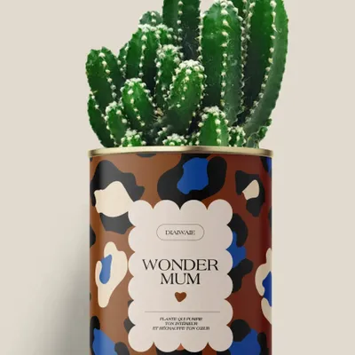 Cadeaux - Wonder mum - Maxi Aloé - DIAIWAIE