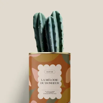Gifts - La mélodie du bohneur - Mini Cactus - DIAIWAIE