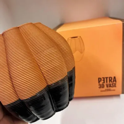 Vases - 3D PETRA NOIR en argile émaillée - COMMON PLACE YOUR URBAN JUNGLE