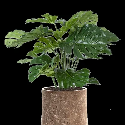 Décorations florales - Monstera géant - NATURE D'INTÉRIEUR