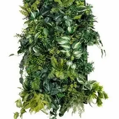 Floral decoration - Artificial green wall - NATURE D'INTÉRIEUR