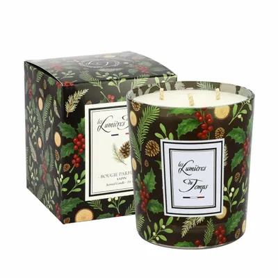 Candles - Winter Lights Candle 350g Fir - LES LUMIERES DU TEMPS