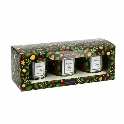 Bougies - Coffret Bougies Lumières d'Hiver 3x90g Champagne Rosé - Sapin - Thé au Coin du Feu - LES LUMIERES DU TEMPS