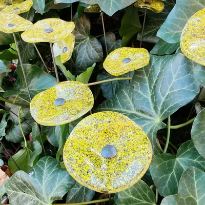 Décorations florales - Petite fleur ronde en verre pour l'extérieur de couleur transparente, jaune, noire avec tige en acier inoxydable de 43 cm - CARNEOL GLASS