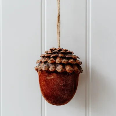 Decorative objects - Velvet Acorn - WE LOVE SEASONS