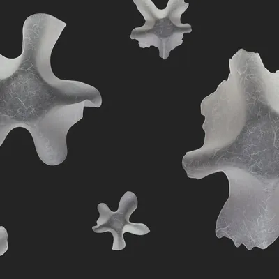 Plats et saladiers - Série Utsuwa  « IRODORU » - NJ STYLE