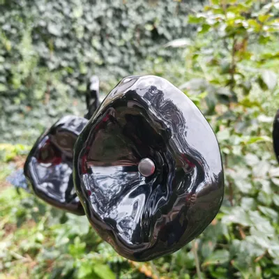 Décorations florales - Fleur en verre en forme d'entonnoir de taille moyenne pour une utilisation en extérieur de couleur noire avec une tige en acier inoxydable de 1 mètre - CARNEOL GLASS