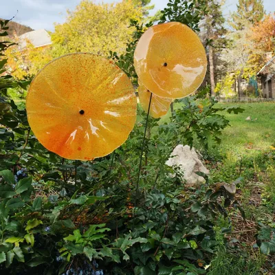 Floral decoration - Large size glass flower for outdoor use in transparent, yellow, orange colour with 1 meter stainless steel stem - CARNEOL GLASS
