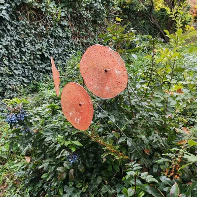 Floral decoration - Large size glass flower for outdoor use in transparent, orange, red colour with 1 meter stainless steel stem - CARNEOL GLASS