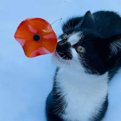 Floral decoration - Glass flower for indoor use in red colour - CARNEOL GLASS