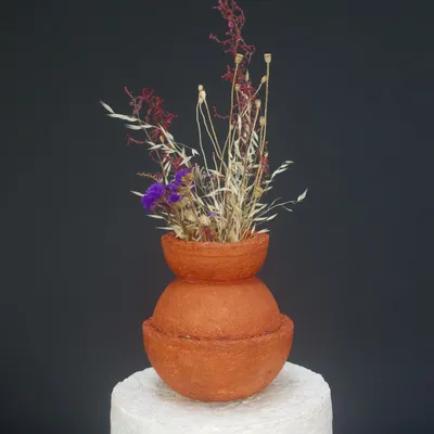 Poterie - ANEMONE - BOUTURES D'OBJETS