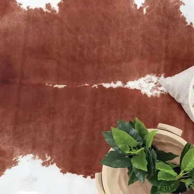 Tapis design - Marguerite - ROYAL CARPET