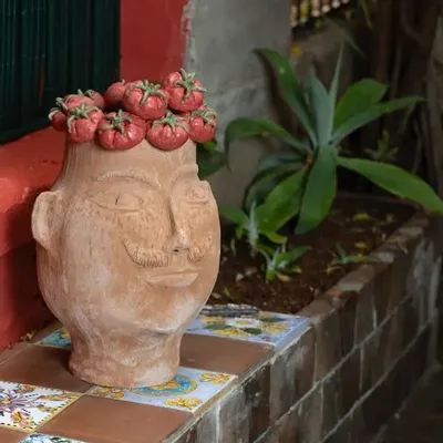 Pots de fleurs - I GOLOSI IL POMODORO TESTA GRANDE - PATRIZIA ITALIANO