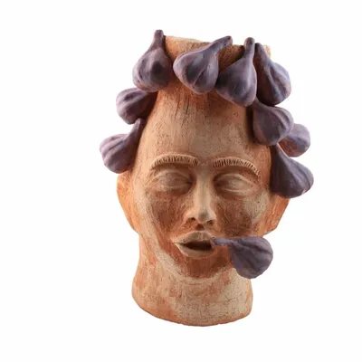 Flower pots - I GOLOSI TESTA GRANDE FICHI - PATRIZIA ITALIANO