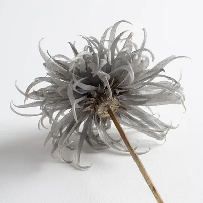 Décorations florales - Créations  sur matériaux souples Miyouki Nakajima - INCUBATEUR LES ATELIERS DE PARIS - FAIDHERBE