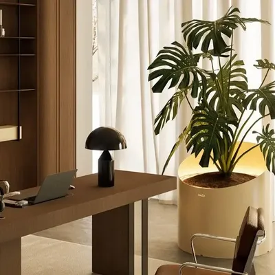 Office design and planning - Wedge Collection - MAZU BV