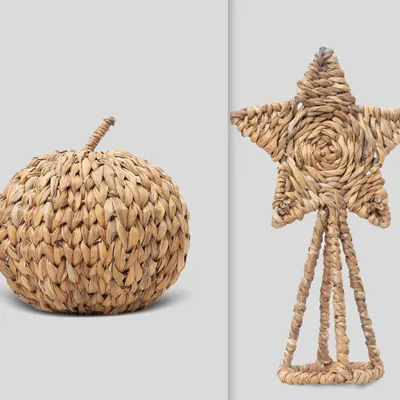 Food storage - Seagrass Collection - ECONEST