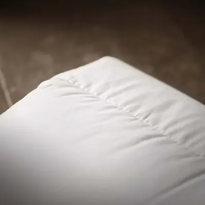 Couettes et oreillers  - COUETTE TEMPEREE ROYAL 70% DUVET - 240X260 - DUMAS PARIS