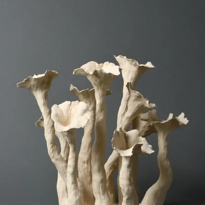 Ceramic - Outbreaks, Plenitude. - CLP CERAMIQUE