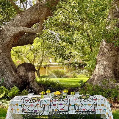 Nappes - John Derian Collaborations - Nappes et serviettes en lin - SUMMERILL AND BISHOP