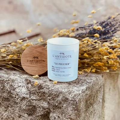 Bougies - BOUGIE - LE FIGUIER - L'ANTIDOTE