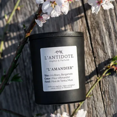 Bougies - L'AMANDIER - L'ANTIDOTE