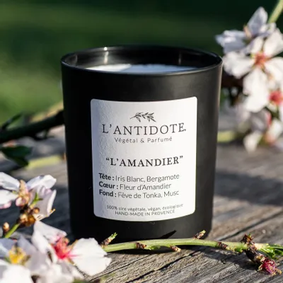 Bougies - BOUGIE - L'AMANDIER - L'ANTIDOTE
