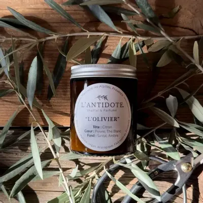 Candles - THE OLIVIER - L'ANTIDOTE