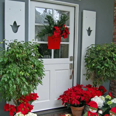 Autres tapis - petit tapis jellybean poinsettia - KARENA INTERNATIONAL