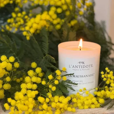 Bougies - BOUGIE - LA MAUSSANAISE - L'ANTIDOTE