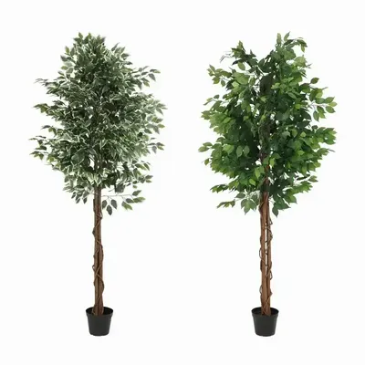 Floral decoration - Artificial ficus, black plastic pot - LIGNE DÉCO
