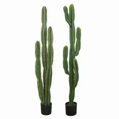 Floral decoration - Artificial cactus, black plastic pot - 2 models - LIGNE DÉCO