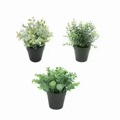 Floral decoration - Assorted Artificial Potted Foliage - LIGNE DÉCO