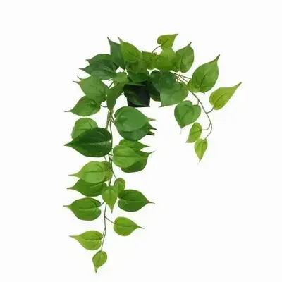 Floral decoration - Artificial “Real Touch” Trailing Pothos - LIGNE DÉCO