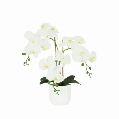 Floral decoration - “Real Touch” Orchid in White Pot - LIGNE DÉCO