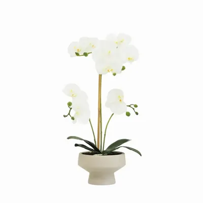 Floral decoration - “Real Touch” Orchid in Ceramic Pot - LIGNE DÉCO