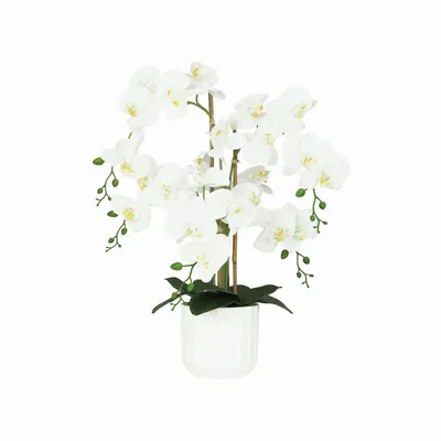 Floral decoration - “Real Touch” Orchid in White Pot - LIGNE DÉCO