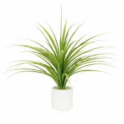 Floral decoration - Artificial Dracaena in White Pot - LIGNE DÉCO