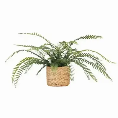 Floral decoration - Artificial Fern in Cane-Effect Cement Pot - LIGNE DÉCO