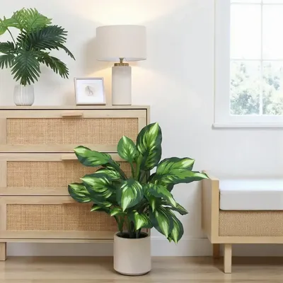 Décorations florales - Dieffenbachia Camilla artificiel en pot blanc - LIGNE DÉCO